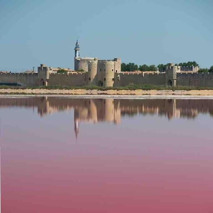 Maison Chaleureuse A 5 Mins Des Remparts เอก-มอร์ต ภายนอก รูปภาพ