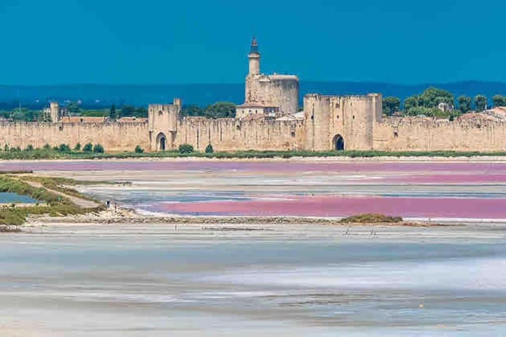 Maison Chaleureuse A 5 Mins Des Remparts เอก-มอร์ต ภายนอก รูปภาพ